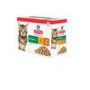 Hills Feline KAPSA Multipack Kitten Chicken, Turky 12x100g